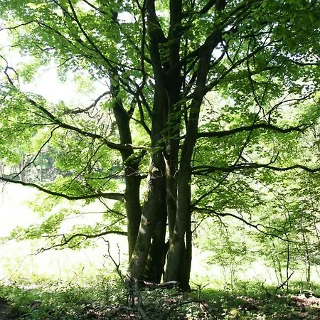 Appartamento Zollhaus 26