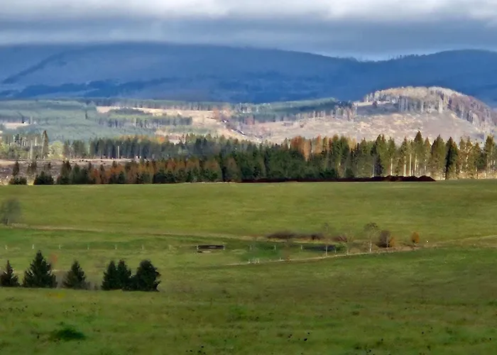 Zollhaus 26 * Hohegeiß