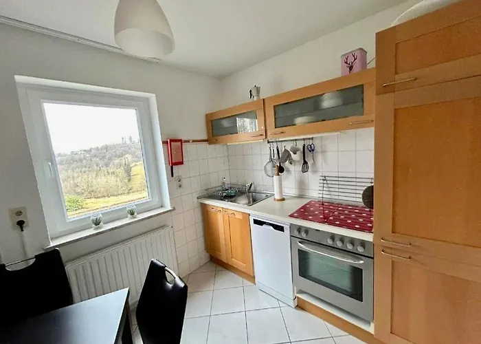 Zollhaus 26 公寓 Hohegeiß