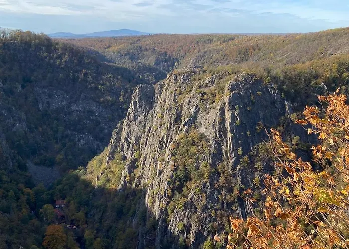 Zollhaus 26 公寓 Hohegeiß