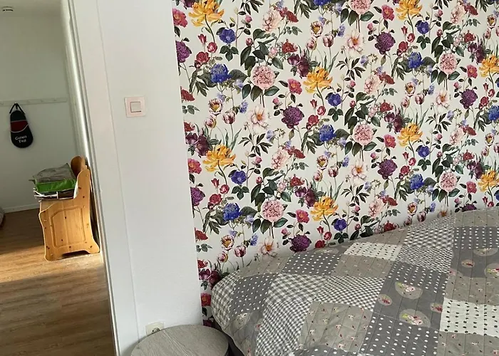 公寓 Zollhaus 26 Hohegeiß